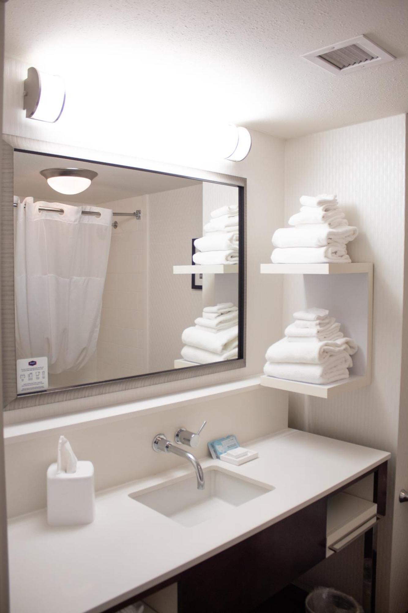 Hampton Inn & Suites Big Rapids, Mi Dış mekan fotoğraf